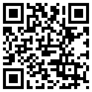 com.google.android.webview