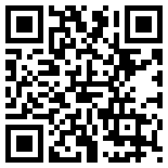 小巷子里的秘密apk