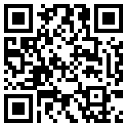 idm 手机版存档版