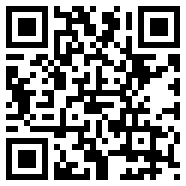 wpe1.3中文版