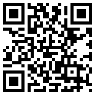 绯石之心国际服