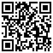 3.0.3vivo版