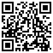 ACE直装v3.0