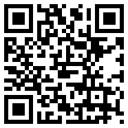 总统模拟器